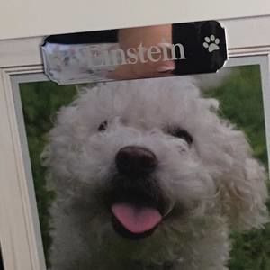 Meet your Posher, Cherie